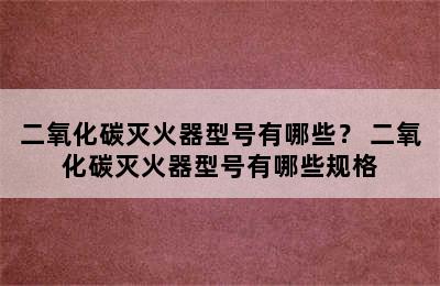 二氧化碳灭火器型号有哪些？ 二氧化碳灭火器型号有哪些规格